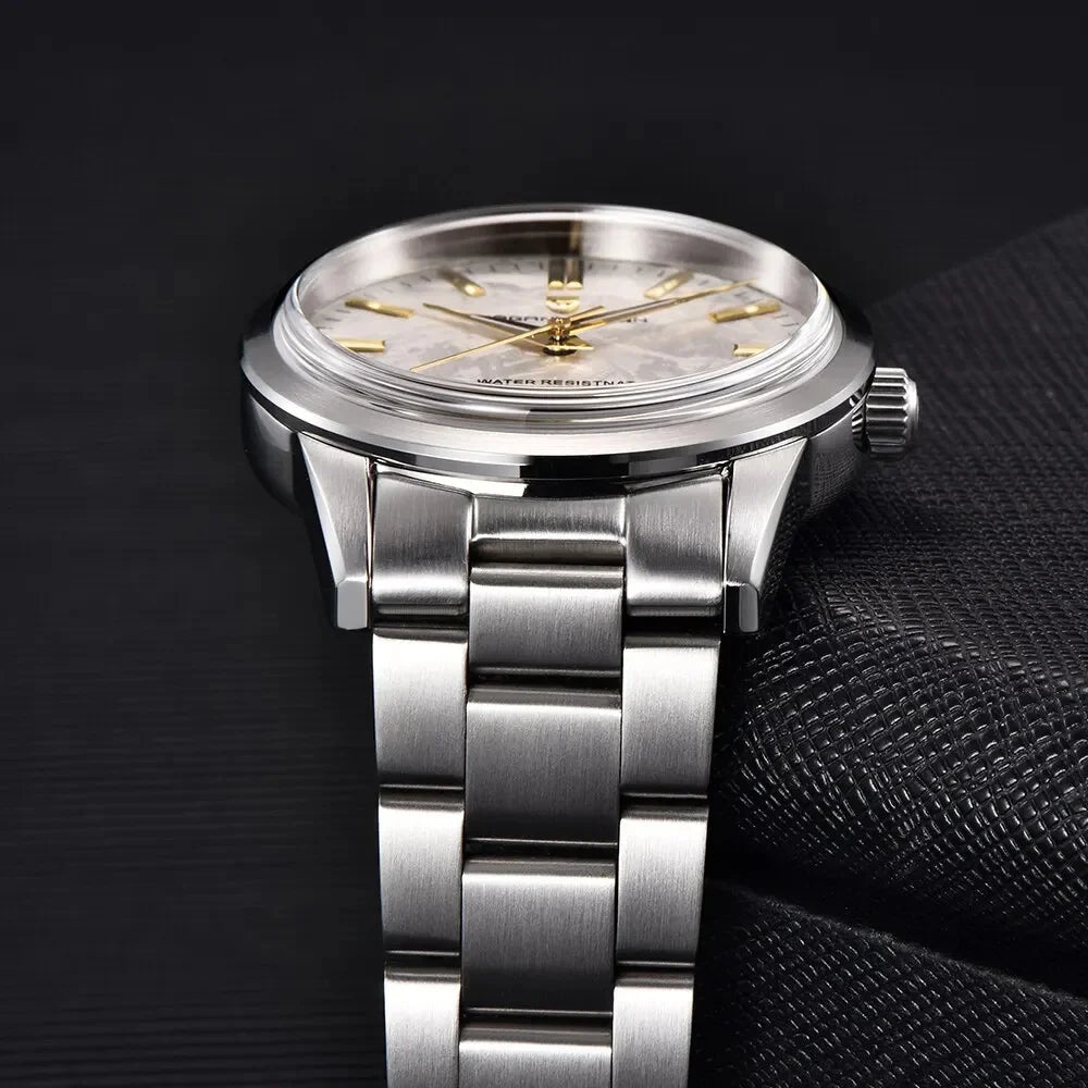 PAGANI DESIGN 40MM cadran météorite hommes montres à Quartz de luxe affaires saphir 316L acier inoxydable 100M montre étanche pour hommes